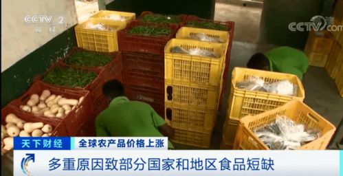 韩国大葱每公斤合人民币43元 价格猛增3倍多,民众无奈自己种